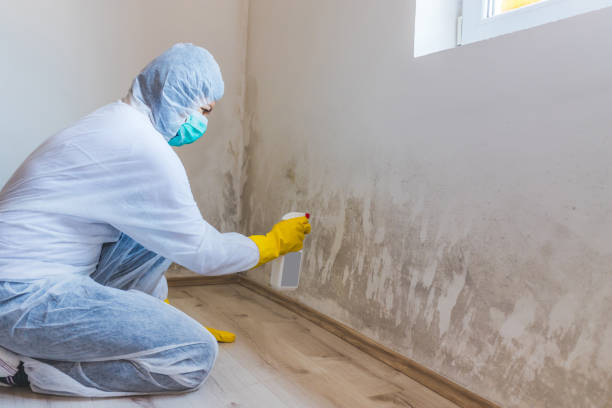 Mold Remediation specialist working in Rockville